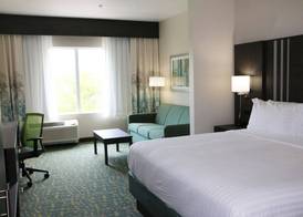 Holiday Inn Express & Suites HENDERSONVILLE SE - FLAT ROCK by IHG 5