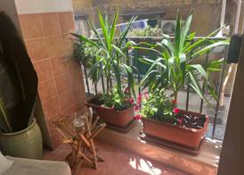 B&B Vicoli di Napoli 2