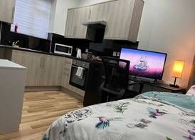 Entire Studio apartment - London 5