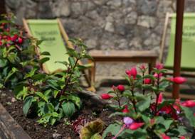 The Mary Arden Inn 5
