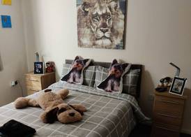 Captivating 1-bed Apartment in Bournemouth 4