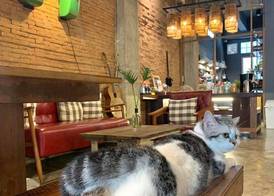 Suneta Hostel Chiangmai 2