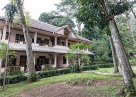 Ecolodge Bukit Lawang 3