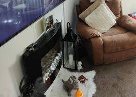 Captivating 1-bed Apartment in Bournemouth 3