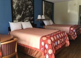 Super 8 by Wyndham Walterboro 5