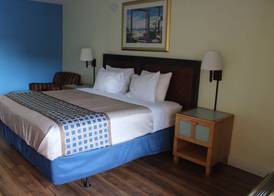 Tampa Inn Near Busch Gardens 4