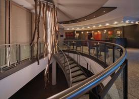 Dorint Seehotel Binz-Therme 4