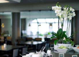 Quality Hotel Winn Göteborg 4