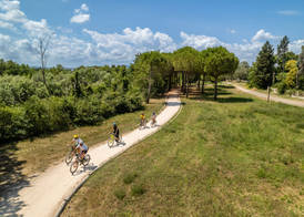 Club del Sole Romagna Family Resort 4