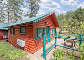 Ponderosa Pines 4