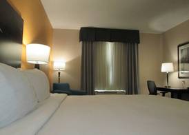 Holiday Inn Express & Suites FORT STOCKTON by IHG 4