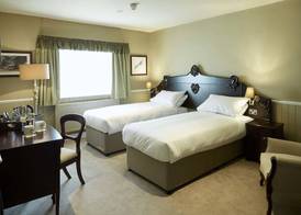 The Golden Pheasant 5