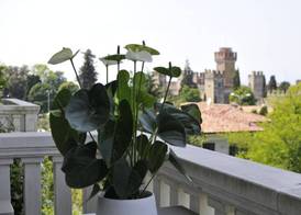 Palazzo della Scala Hotel - Luxury Suites & Spa 3