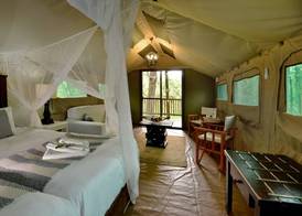 Kruger Safari Lodge 3