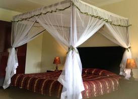 AA Lodge Amboseli 5