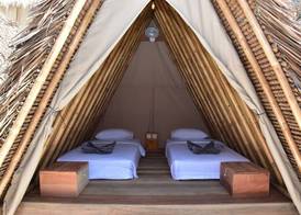 Mad Monkey Gili Trawangan 5