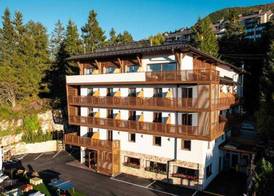 Chalet Caminetto 3