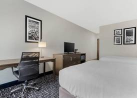 Comfort Inn & Suites 5