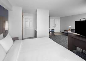 Residence Inn by Marriott Holland 5