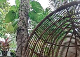 Dhoadhi Retreat 2