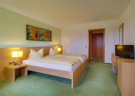 Panorama Hotel Winterberg 2