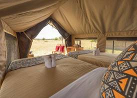 Africa Safari Ngorongoro Ndutu Camping 2