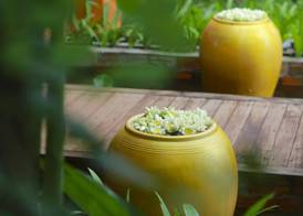 Residence Indochine Suite 5