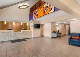 Comfort Inn & Suites Clemson - University Area 3
