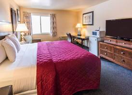 Cedars Inn 4