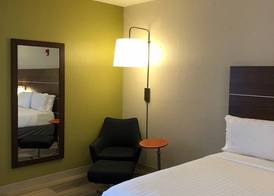 Holiday Inn Express & Suites DALLAS LEWISVILLE by IHG 2