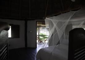 Blue Holbox 3