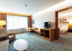 Holiday Inn BAKU by IHG 3