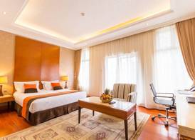 Alba Hotel Meru 5