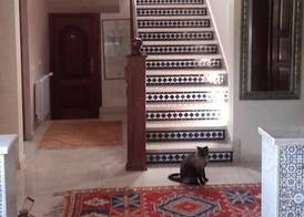 Riad TANJIL 2
