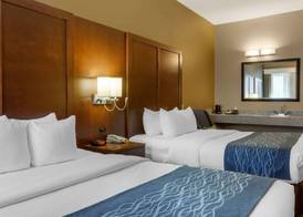 Comfort Inn & Suites Amarillo East 4