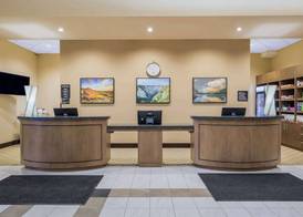Hotel 11, MOD A Sonesta Collection 2