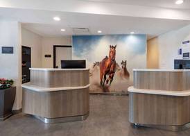 Best Western Plus Fort Worth North 3