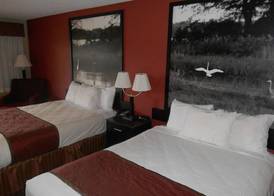AmeriStay Inn St Joseph 3