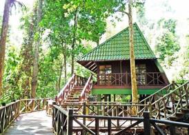 Tabin Wildlife Resort 2