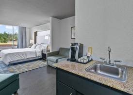 Holiday Inn LUCEDALE by IHG 2