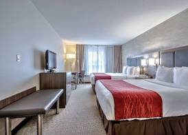Comfort Inn & Suites South 3