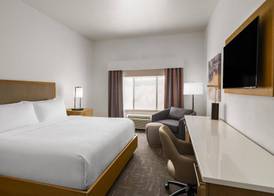 Best Western Premier Houston Downtown/Convention Center Hotel 5