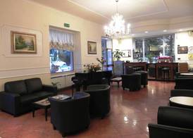 Hotel Villa Robinia 3
