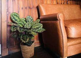 Tuckers Inn 3