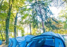 Haro Camping 5