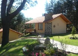 Bosque Escondido 4