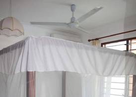 Morning Star Diani 4