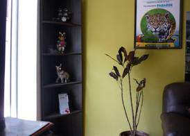 Casa Inn Hostal 3