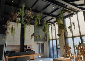 Junibino Hotel Hongdae 2