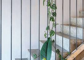 Organic Stay Guesthouse 4